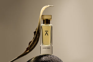 Studio photograph of the ‘Naked Forest’ perfume bottle by Azman Perfumes in collaboration with Prin Lomros, against a white background. The bottle rests on a natural black stone with a dead, dry leaf leaning against it, subtly depicting nature. The perfume is characterized by a green, veggie, and mysterious aesthetic, featuring elements of iris, sandalwood, and mango.